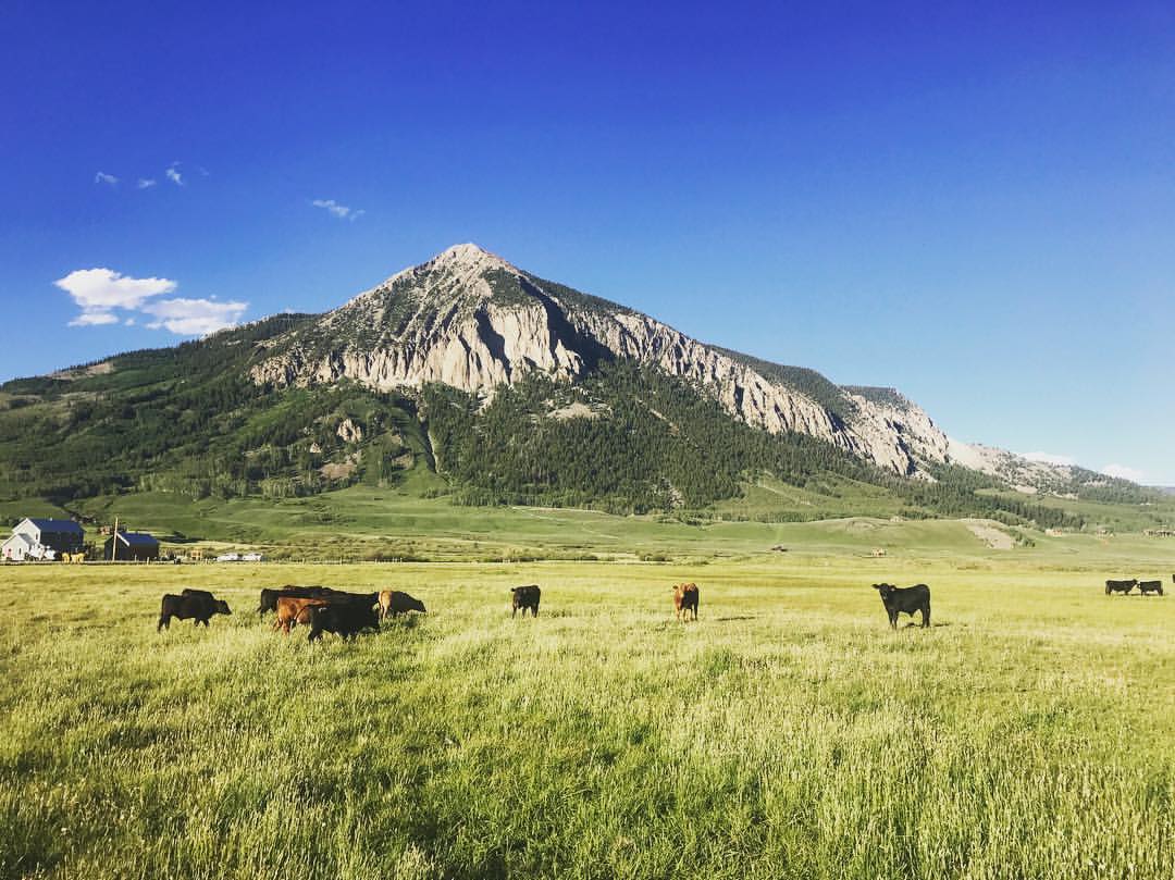 19441867_10155422332697065_8686136099945469282_o