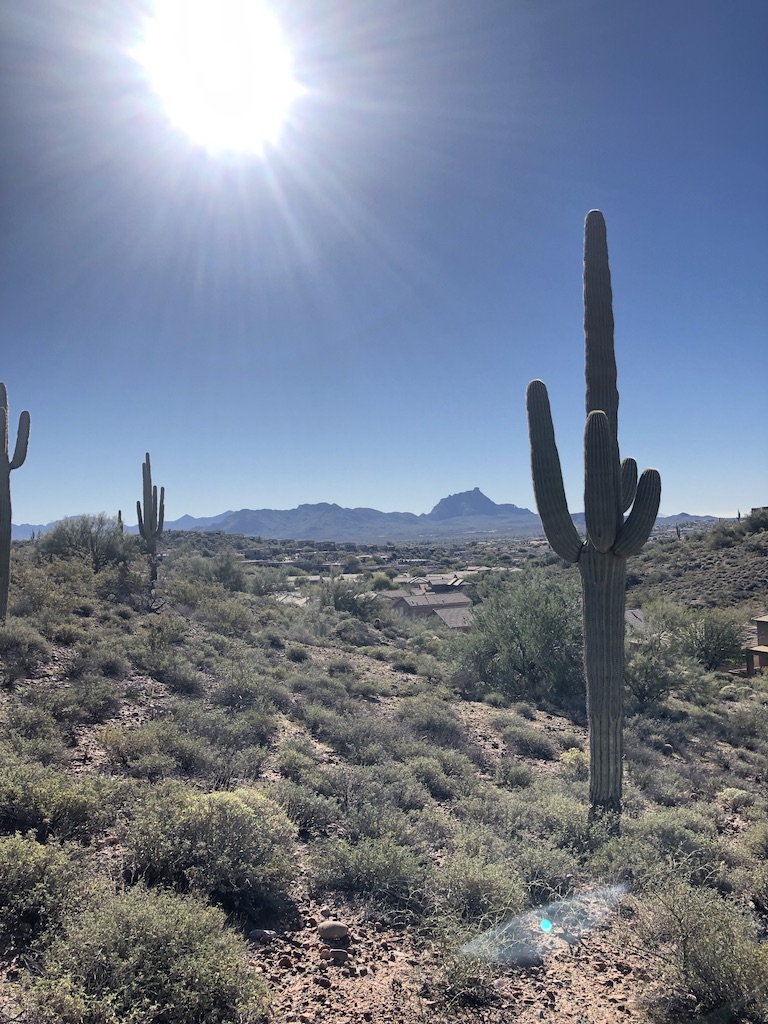 unadjustednonraw_thumb_6436